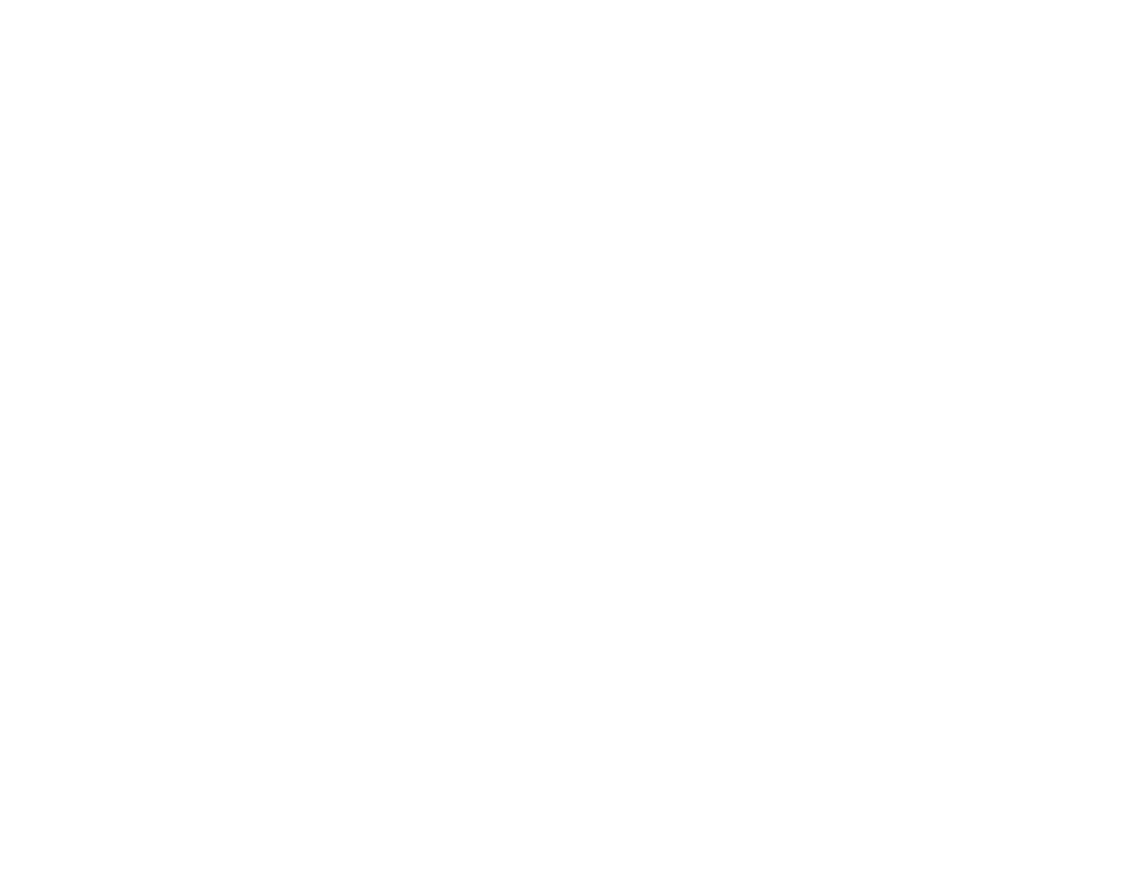 RAW Logo white on transparent
